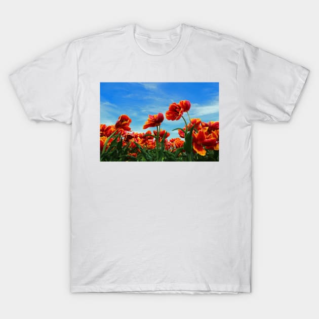 A field of Orange Tulips T-Shirt by ikshvaku